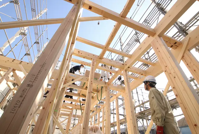 写真：tokyo woodの雲梯