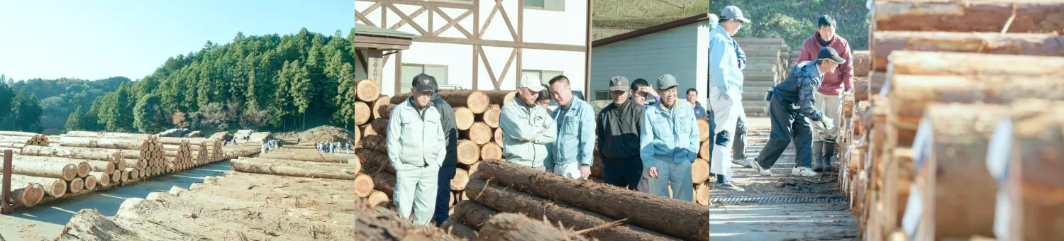 写真：TOKYO WOODの様子