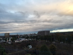 IMG_2044