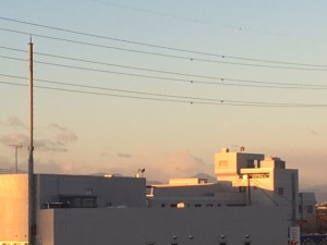 IMG_2259