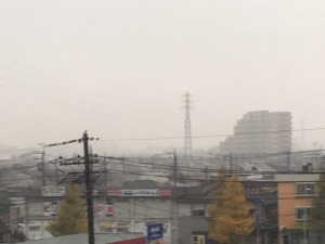 IMG_2326
