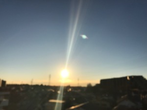 IMG_7543