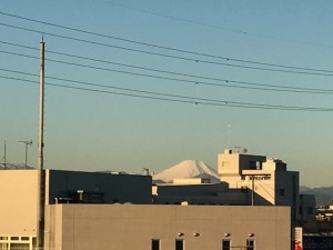 IMG_7544