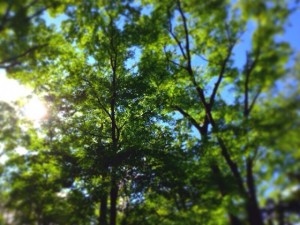 写真 1