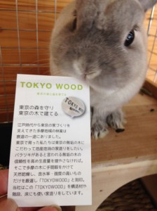 TOKYO WOOD1