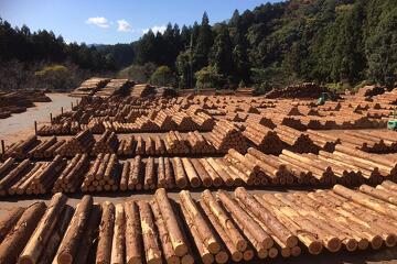 写真：お詫びと訂正