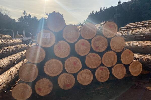 写真：第57期決算報告（IR報告）