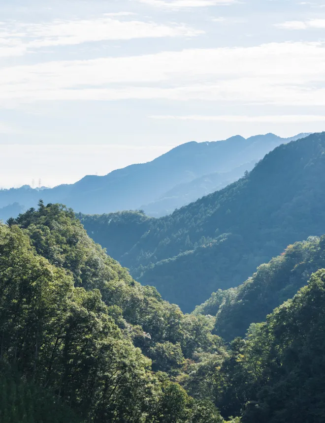 写真：小嶋工務店